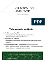 Valoracion Del Ambiente