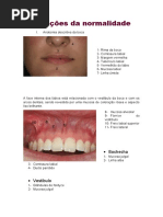 Lesões Fundamentais Odontologia Pdf Epitélio Especialidades Médicas