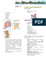 2.5 Sindromes Clínicos Soma