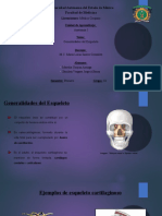 Generalidades de Osteología (Final)