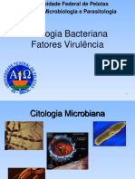 Citologia Microbiana