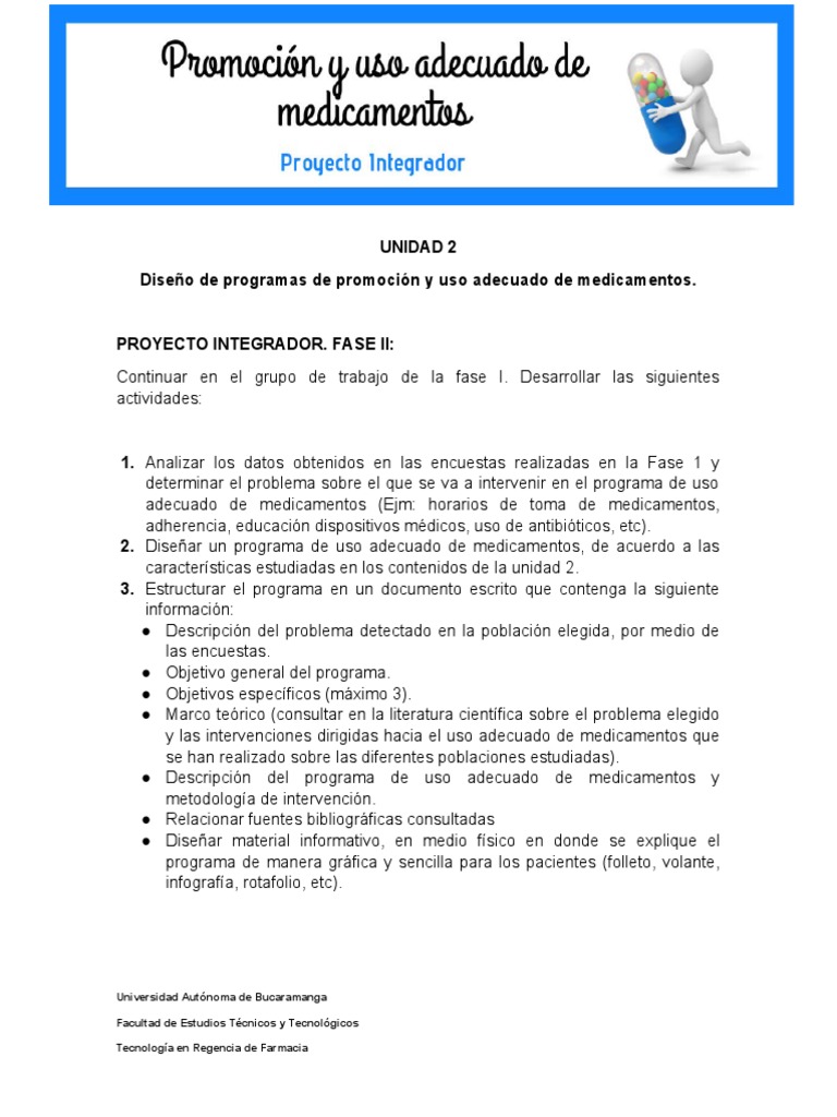 Proyecto Integrador - Fase 2 | PDF