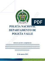 Informe Ejecutivo Modelo