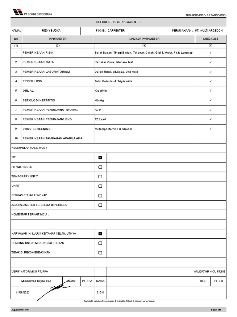 Checklist MCU Karyawan Carpenter | PDF