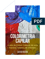 Livro Digital - Colorimetria Capilar (1)