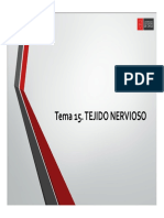 Clase 15 - Tejido Nervioso