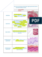 Actividad 1 Tabla de Epitelios-1-4