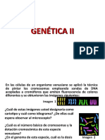 Conf. 3-4 Las mutaciones cromosómicas (CAMBIOS ESTRUCTURALES)