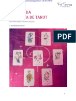 Módulo 8 - Exemplo de Resumo Da Consulta de Tarot - Curso de Tarot Com Magia Natural - Pri Ferraz-1