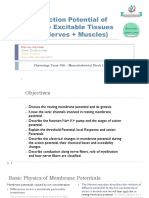 2&3 - Action Potential and Resting Membrane