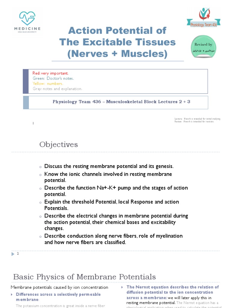 Action Potential & Membrane Physiology | PDF | Action Potential ...