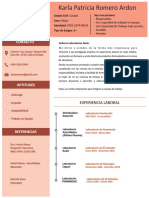 Curriculum Vitae Karla Patricia Romero