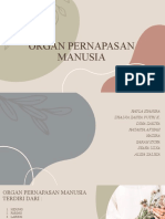 Organ Pernapasan Manusia