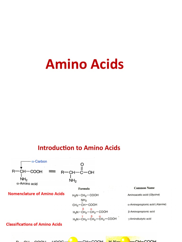 Amino Acids | PDF