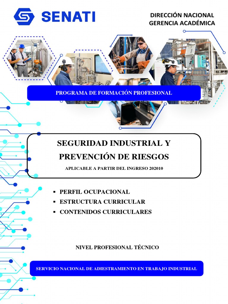 NSID 202010-Seguridad Industrial y Prevención de Riesgos - S2-S3-S4 ...