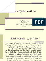 سبرك ةرود Krebs Cycle