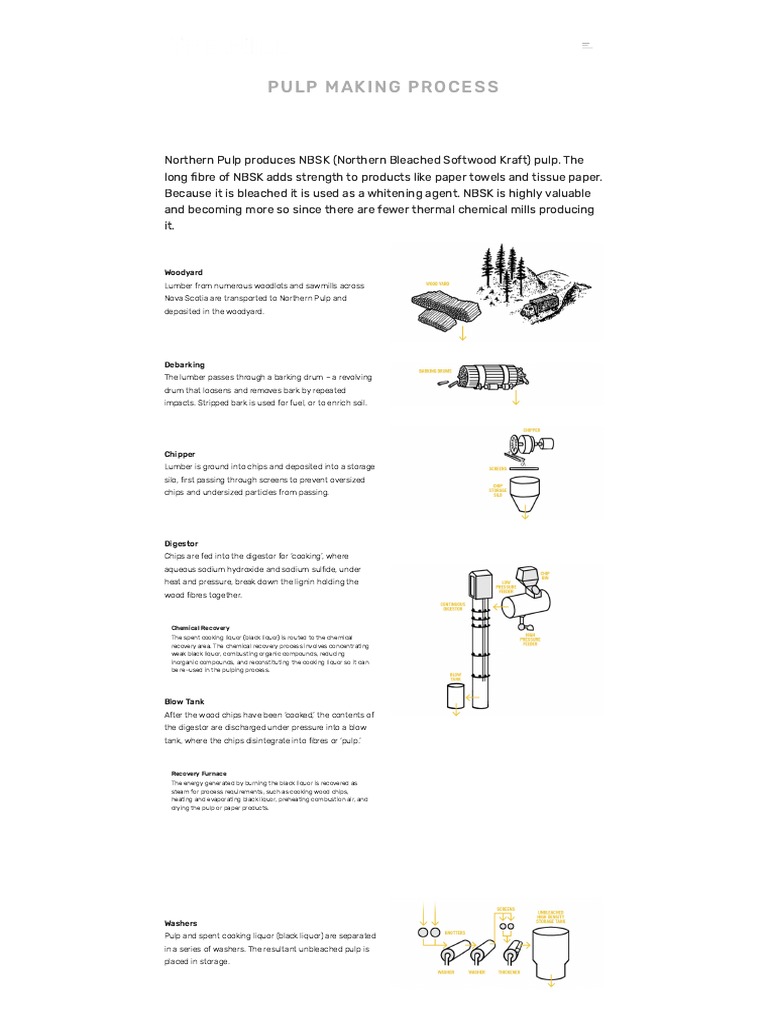 Pulp Making Process - The Mill | PDF | Pulp (Paper) | Paper