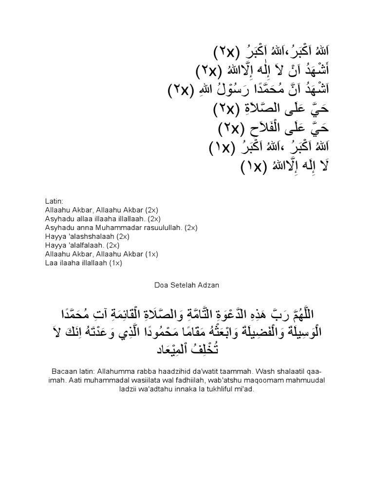 Dunyodagi eng chiroyli tor mushuklar fotosurati