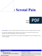 Acute Scrotal Pain - 2