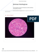 Evaluación Láminas Histologicas