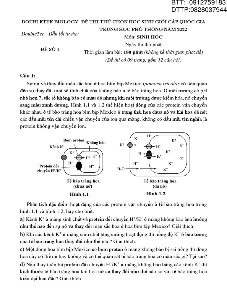 MBQ Master of Biology Questions | PDF