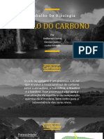 O Ciclo Do Carbono