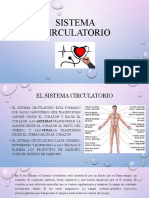 Sistema Circulatorio