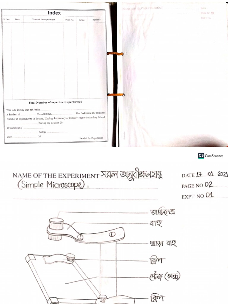 Botany Practical | PDF