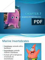 Chapter7 Marineinvertebrates 160429122101