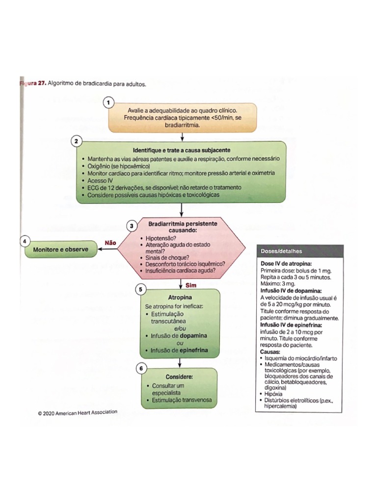 Figura 27. Algoritmo de Bradicardia para Adultos. | PDF