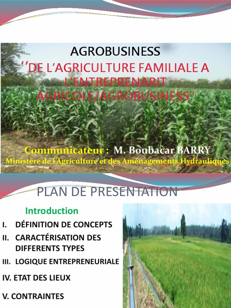 L Agrobusiness PDF
