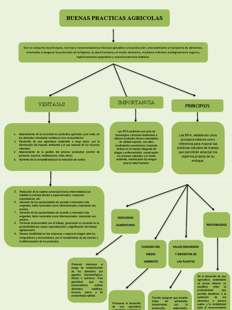 Mapa Conceptual De La Agricultura Pdf Alimentos Agricultura