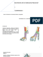 Tema 1 Gral Ant Sistemica y TPGFC I