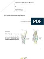 Osteo y Sindml Apendicular I