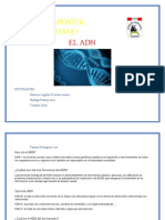 I.E. Apostol Santiago: El Adn