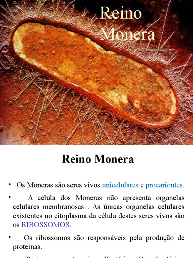 Características do Reino Monera | PDF
