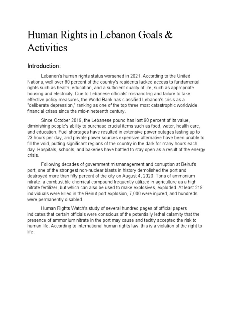 Human Rights in Lebanon Goals PDF