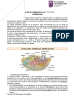 Guía 1 - Citología. Citoplasma - Hye II