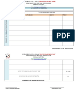 Resumen Programa Formativo Ie