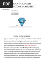 Download Karya Ilmiah Anatomi Manusia by Tisa Anindita Diandra Putri SN66461347 doc pdf