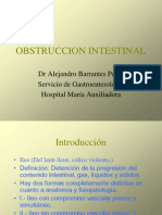 8-obstruccionintestinal-100520111257-phpapp02