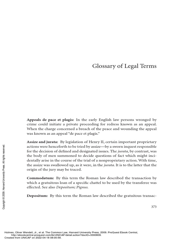 The Common Law (Glossary of Legal Terms) PDF Common Law Civil