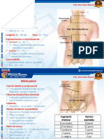 Eb00721687815679I.E.P.peruanoEspañol Prof - jhonVelezMarcos SistemanerviosoII