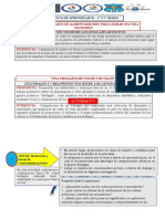 IIIº ACTIVIDAD - 4º y 5º GRADO (1º EXPERIENCIA)