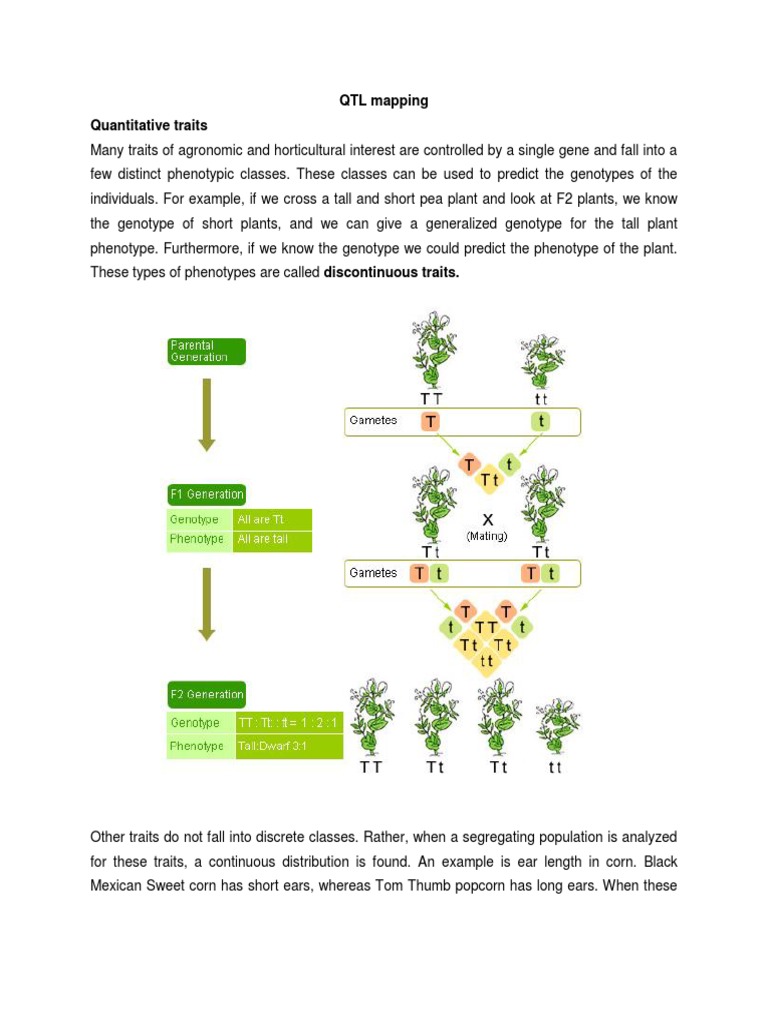 Lec 28 | PDF