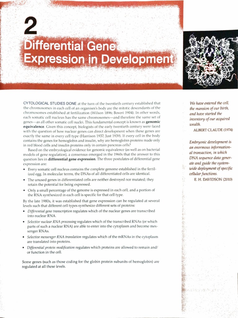 Differential Gene Expression in Development | PDF