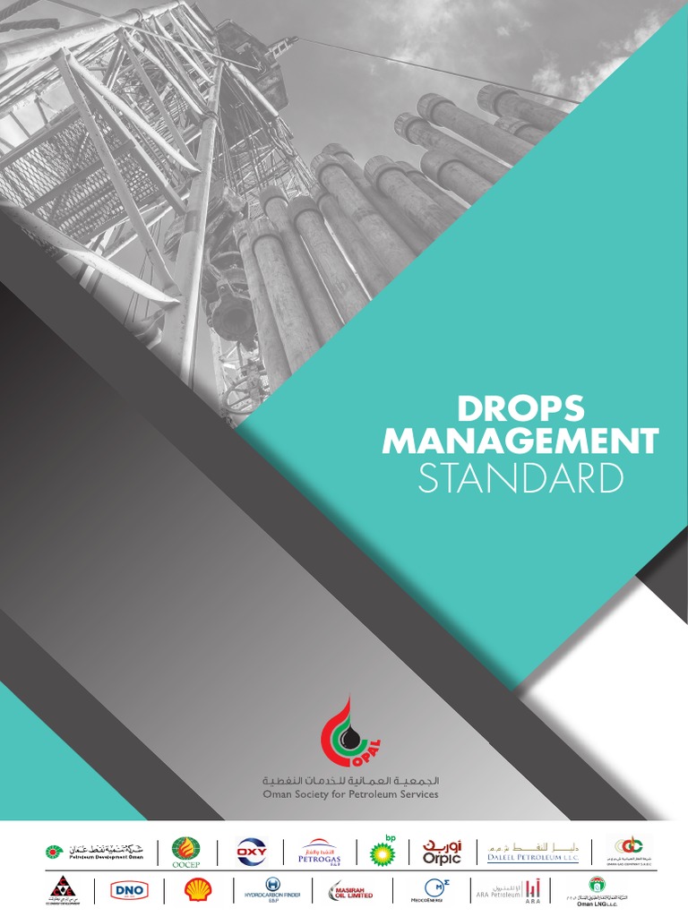 DROPS Management Standard Overview | PDF | Audit | Risk