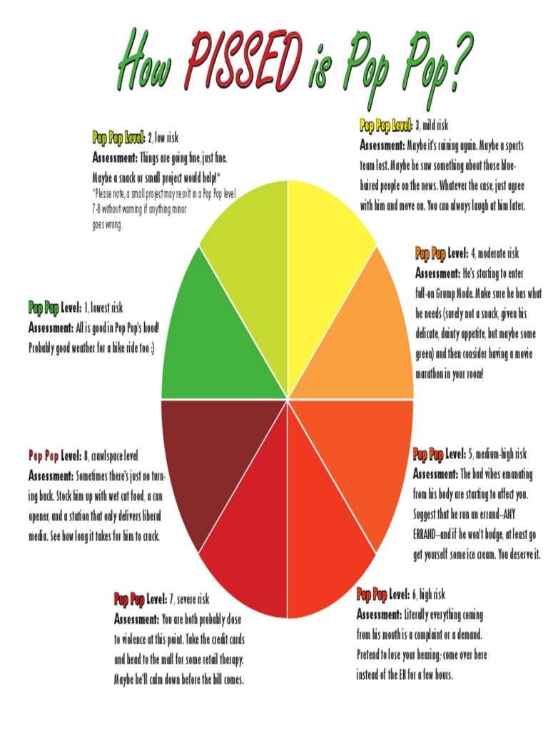 Pop Meter Risk Assessment Guide | PDF