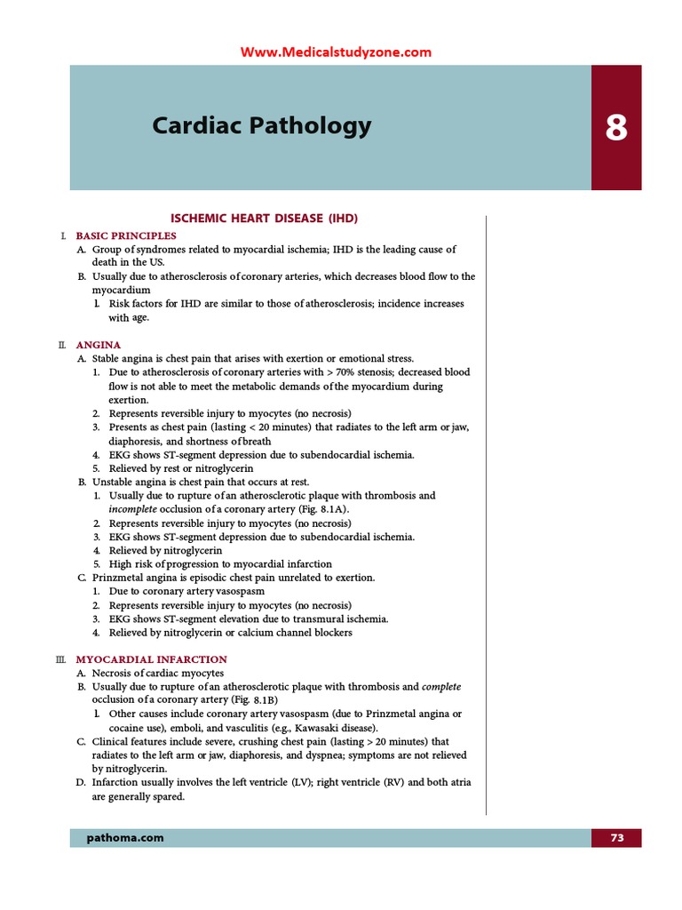 Pathoma 2025: Guía Médica Esencial | PDF