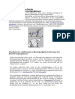 Das Biomechanische Prinzip Richtig